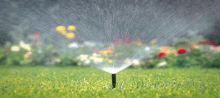 Automatic Irrigation and Lighting of Maine 