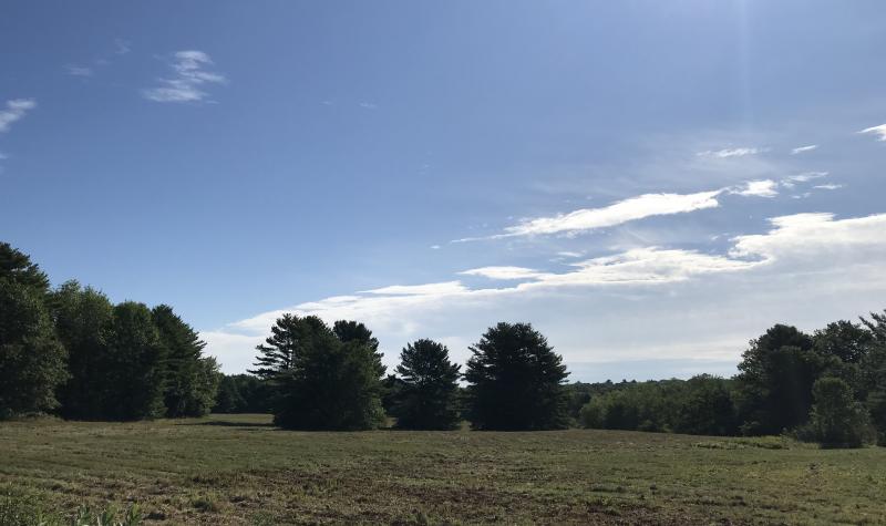 Field