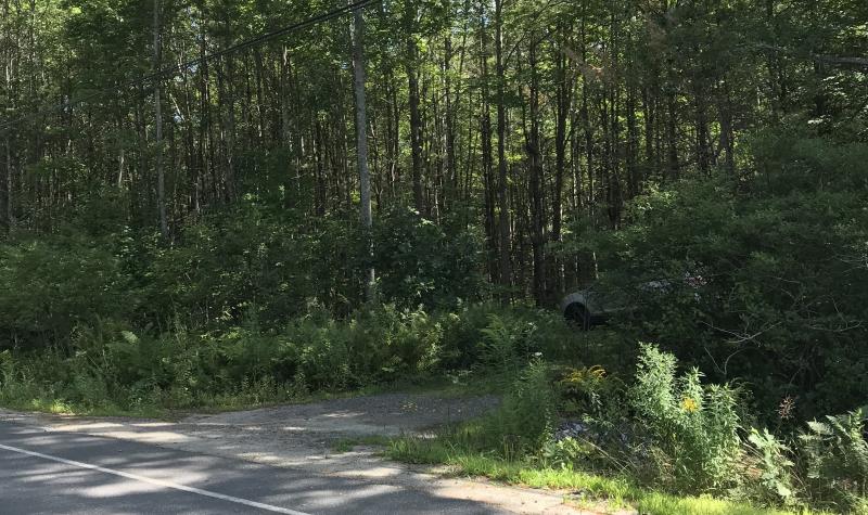 Trail Head