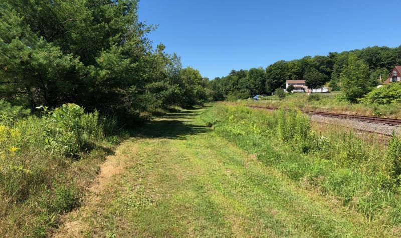 Cathance Meadow