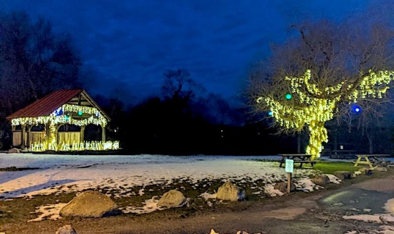 Waterfront Park Lights